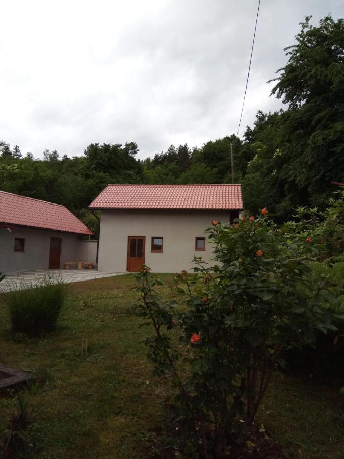 Studio Apartman Kika Otočac Exteriér fotografie
